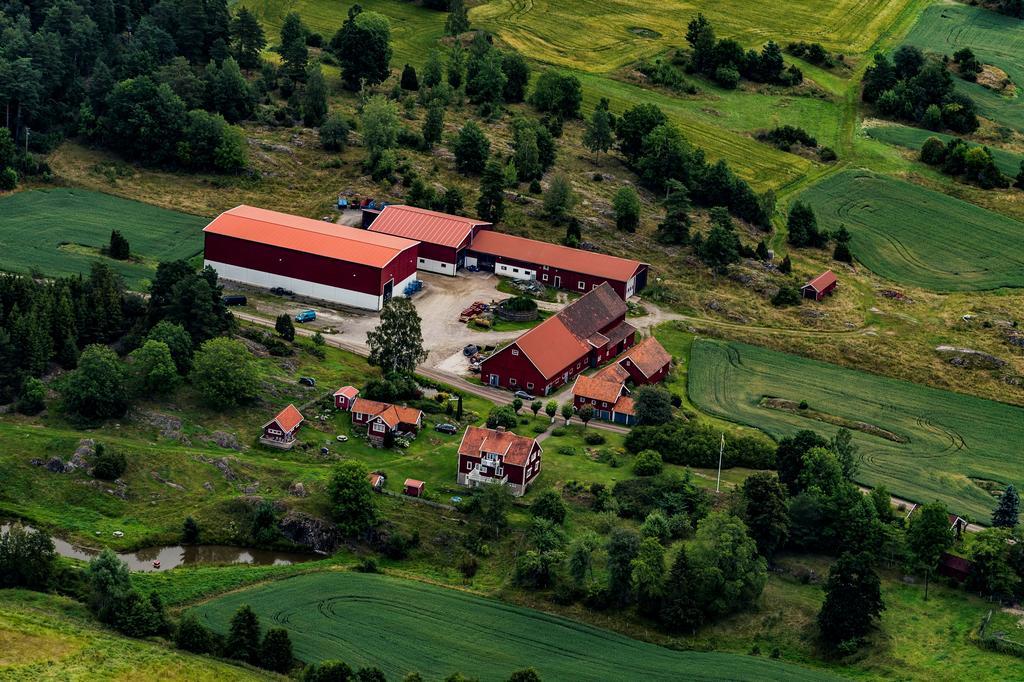 Willa Backgardens Turism & Kultur Zewnętrze zdjęcie